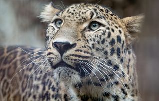 Khal ist eingezogen.