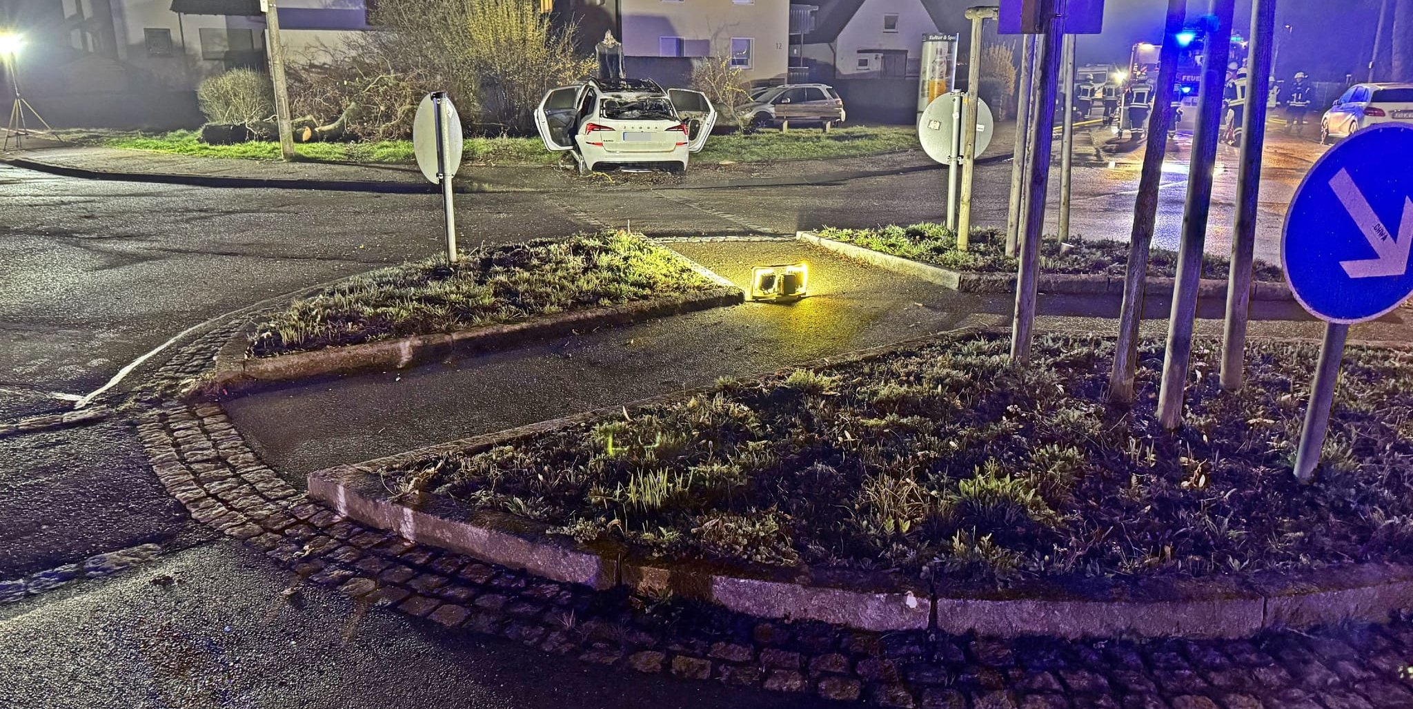 Folgenschwerer Unfall in Renningen: Das Auto prallte gegen einen Baum und ging in Flammen auf.