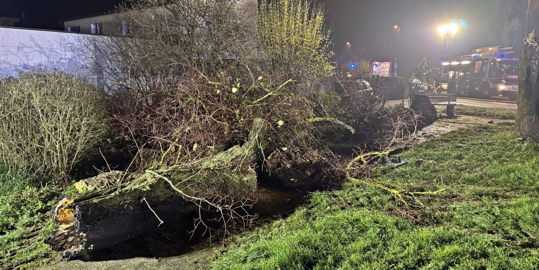 Folgenschwerer Unfall in Renningen: Das Auto prallte gegen einen Baum und ging in Flammen auf.