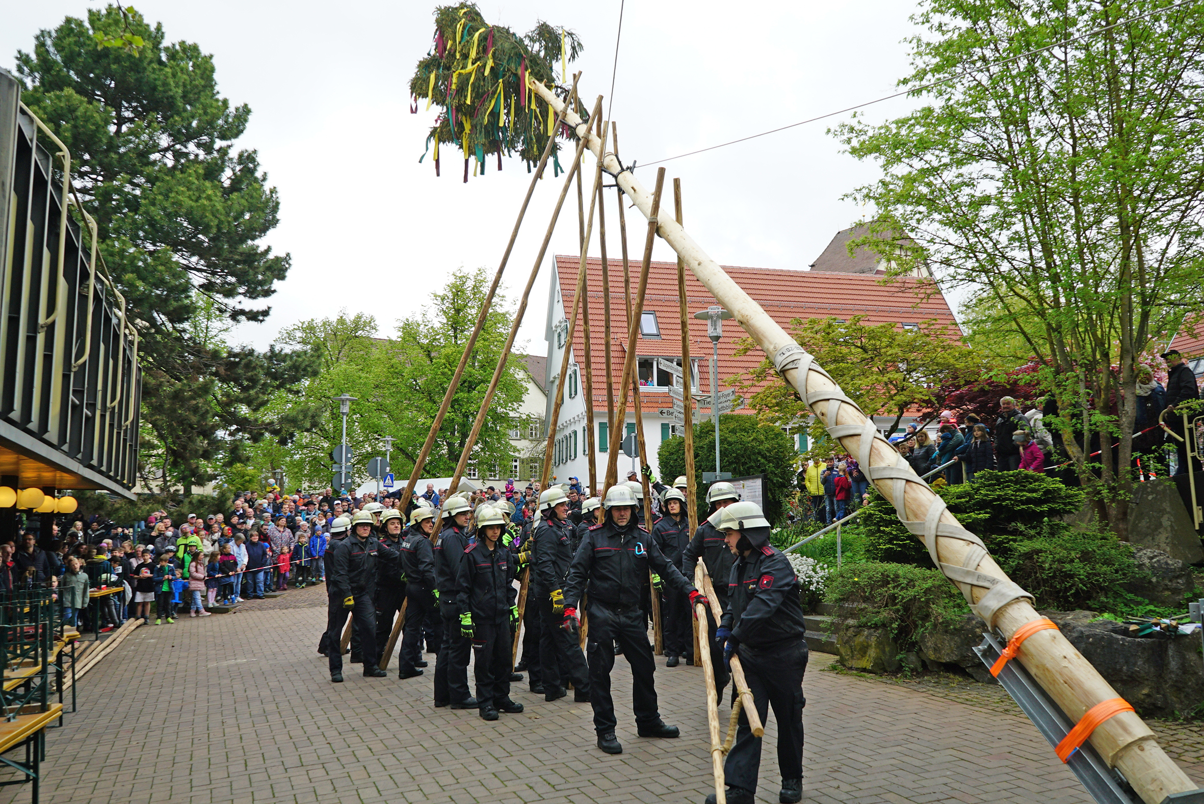 Die Feuerwehr stellt den Maibaum auf,
