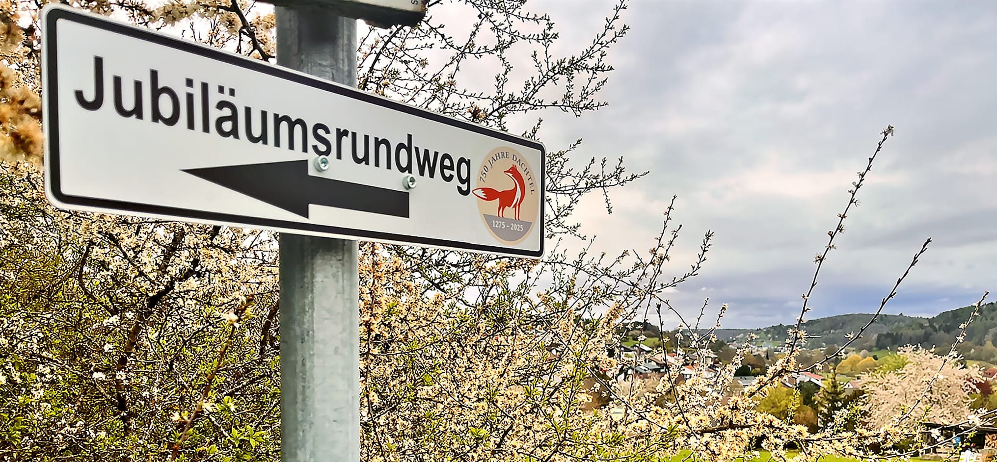 Entlang des Weges sind Schilder mit dem Jubiläumslogo Dachtels aufgestellt. Bild: z