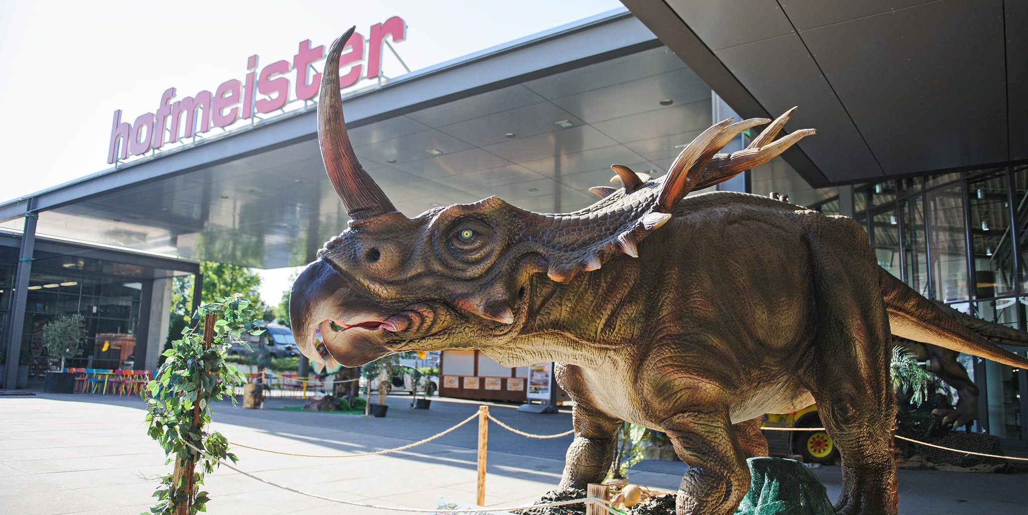 Bei MöbelHofmeister sind wieder die Dinosaurier zu Gast.