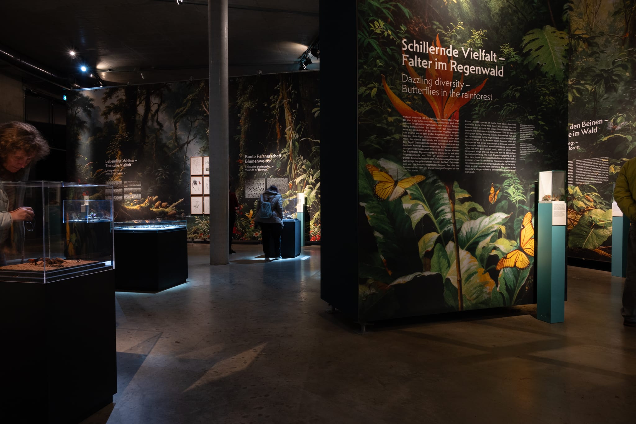 Die Ausstellung informiert über zahlreiche Aspekte des Regenwaldes.
