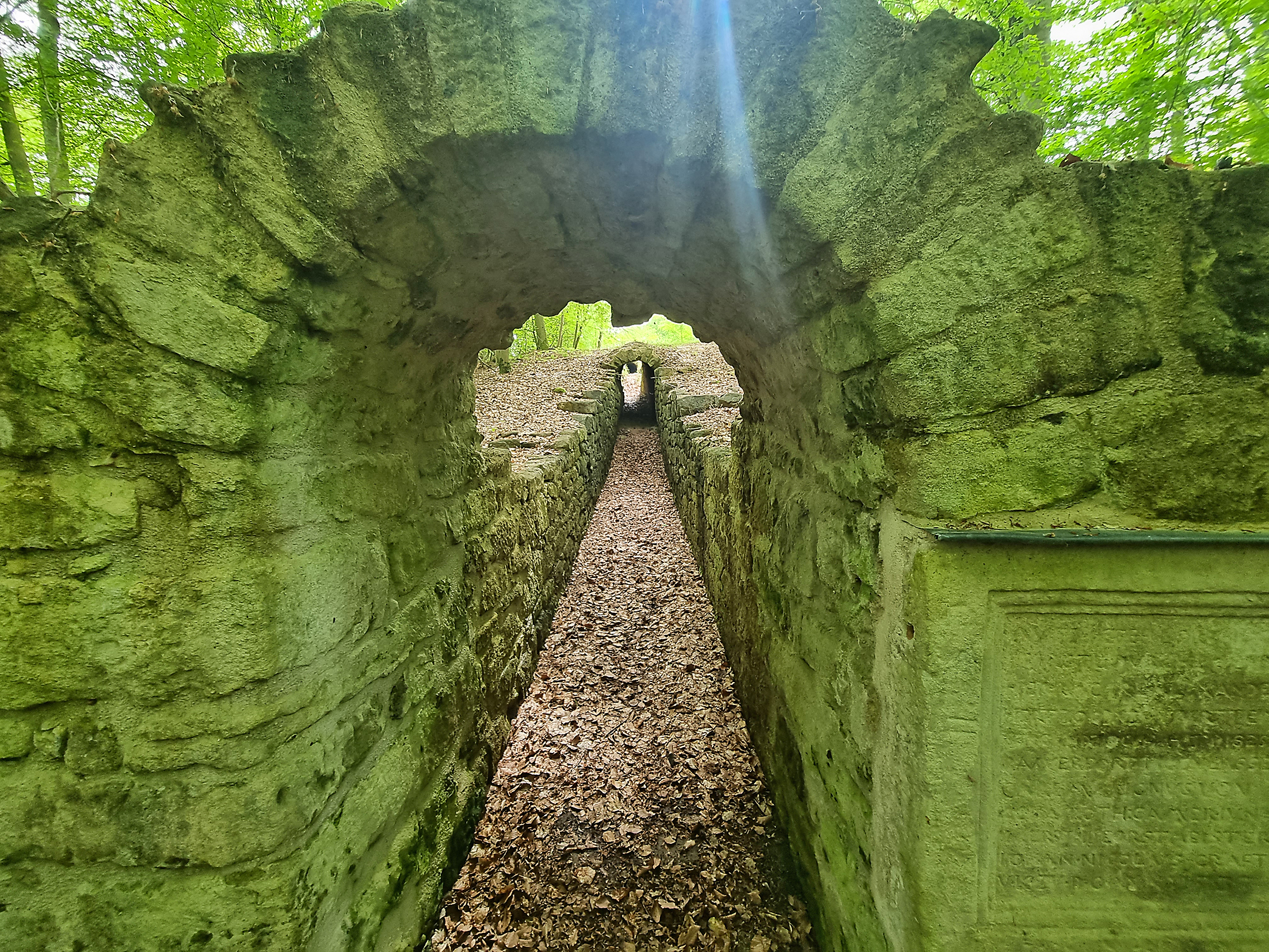 Blick in den restaurierten Pirschgang. Bild: Hamann