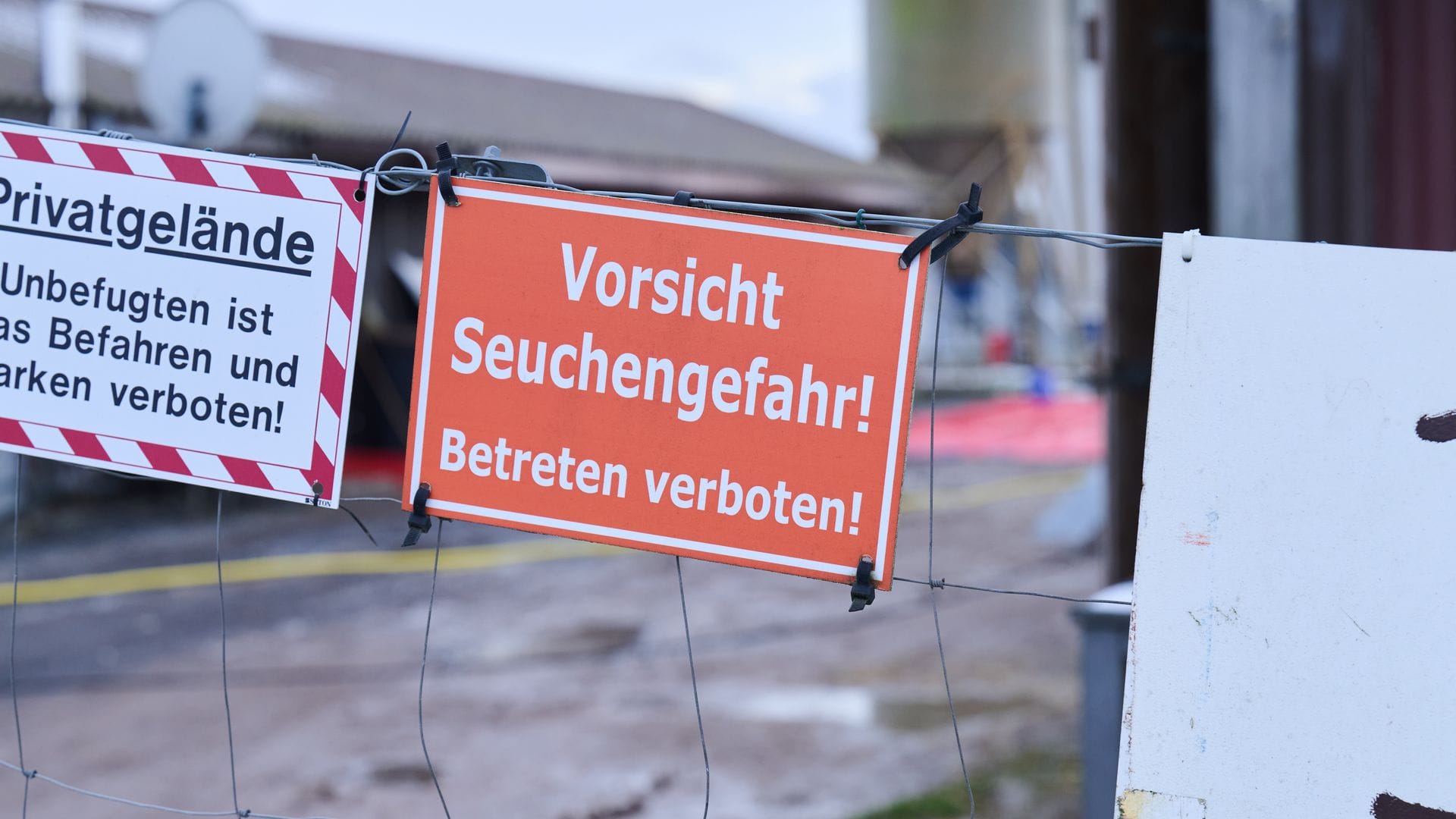 Nach dem Ausbruch der Maul- und Klauenseuche im brandenburgischen Hönow ist die Sperrzone mit Restriktionen für Landwirte aufgehoben (Archivbild).