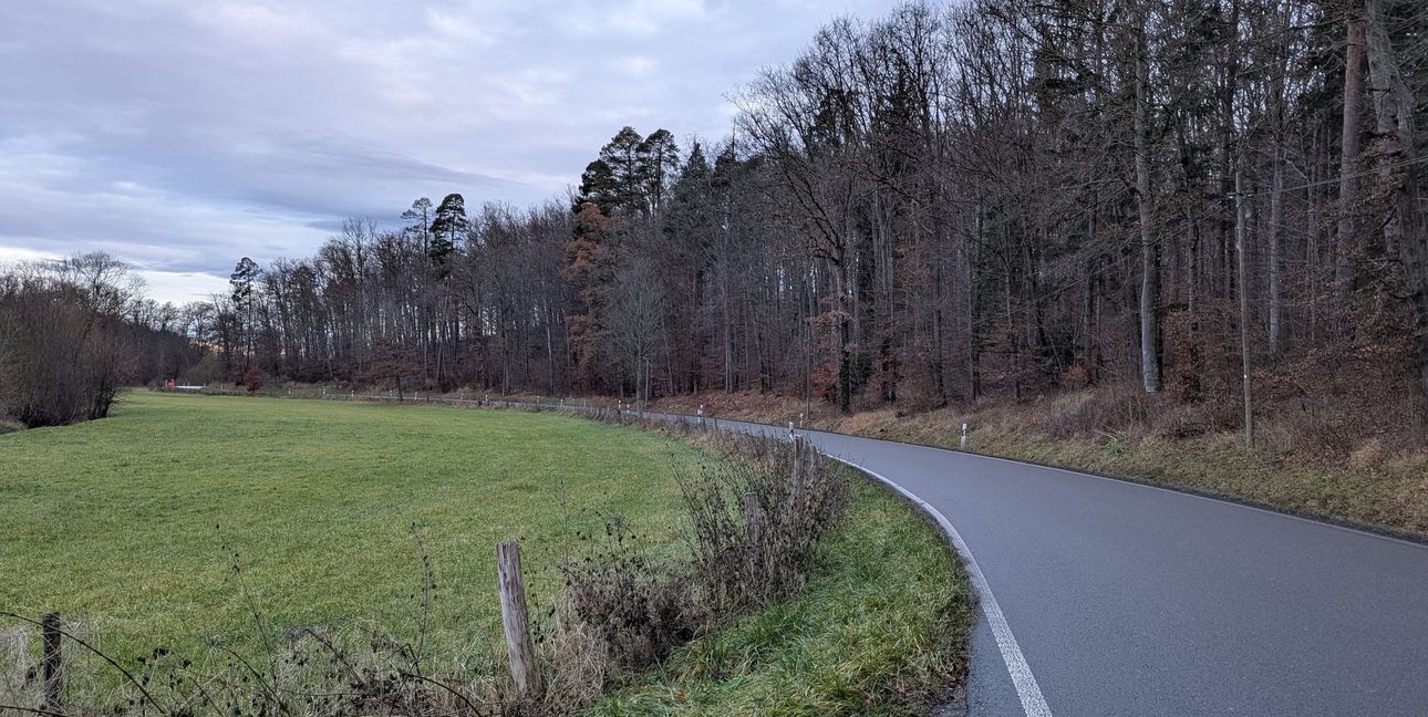 Der Wald zwischen Ehningen und Mauren muss durchforstet werden.