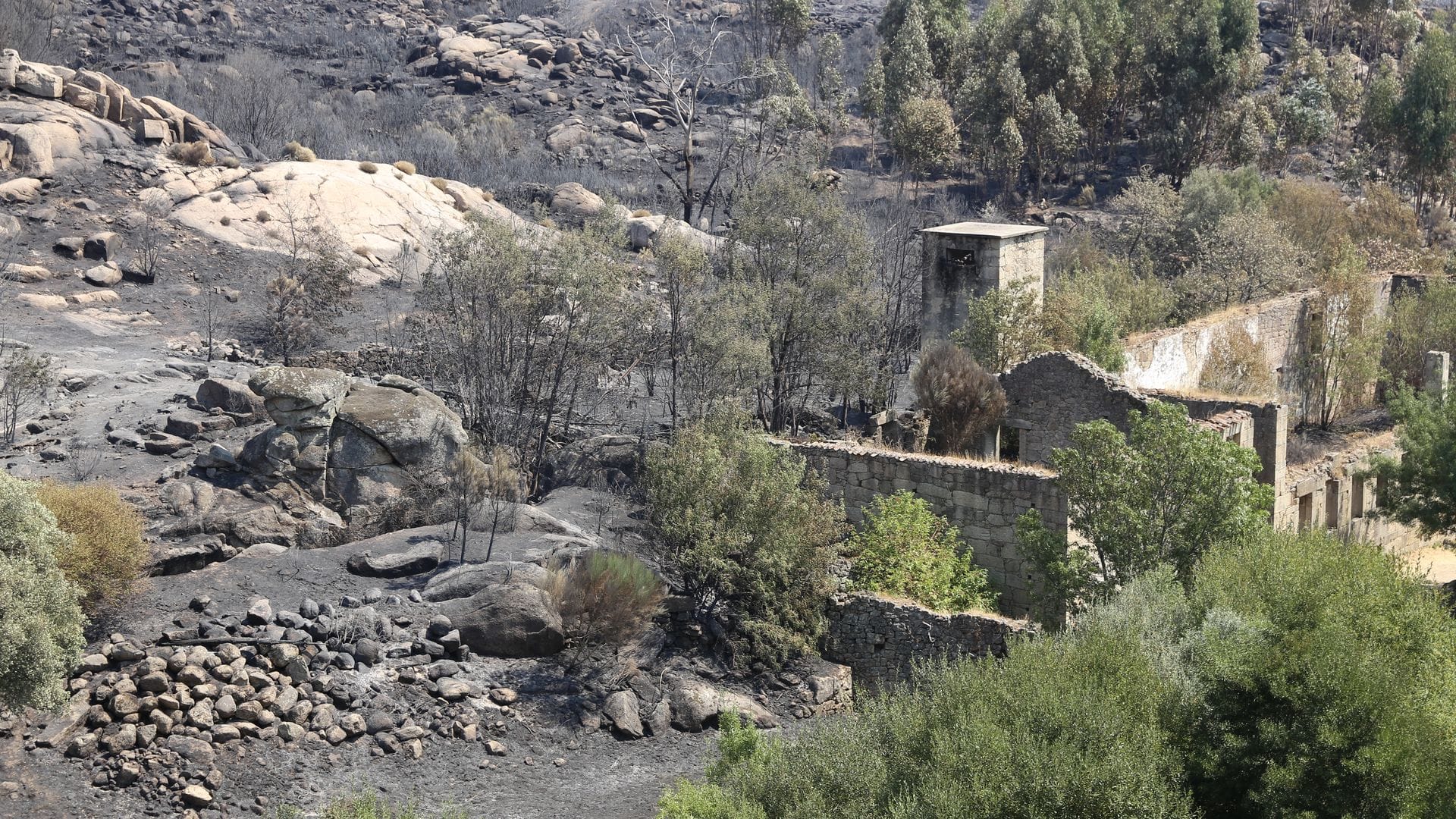 Die Zahl der Todesopfer der verheerenden Waldbrände ist in Portugal gestiegen. Historische Dörfer mussten evakuiert werden.