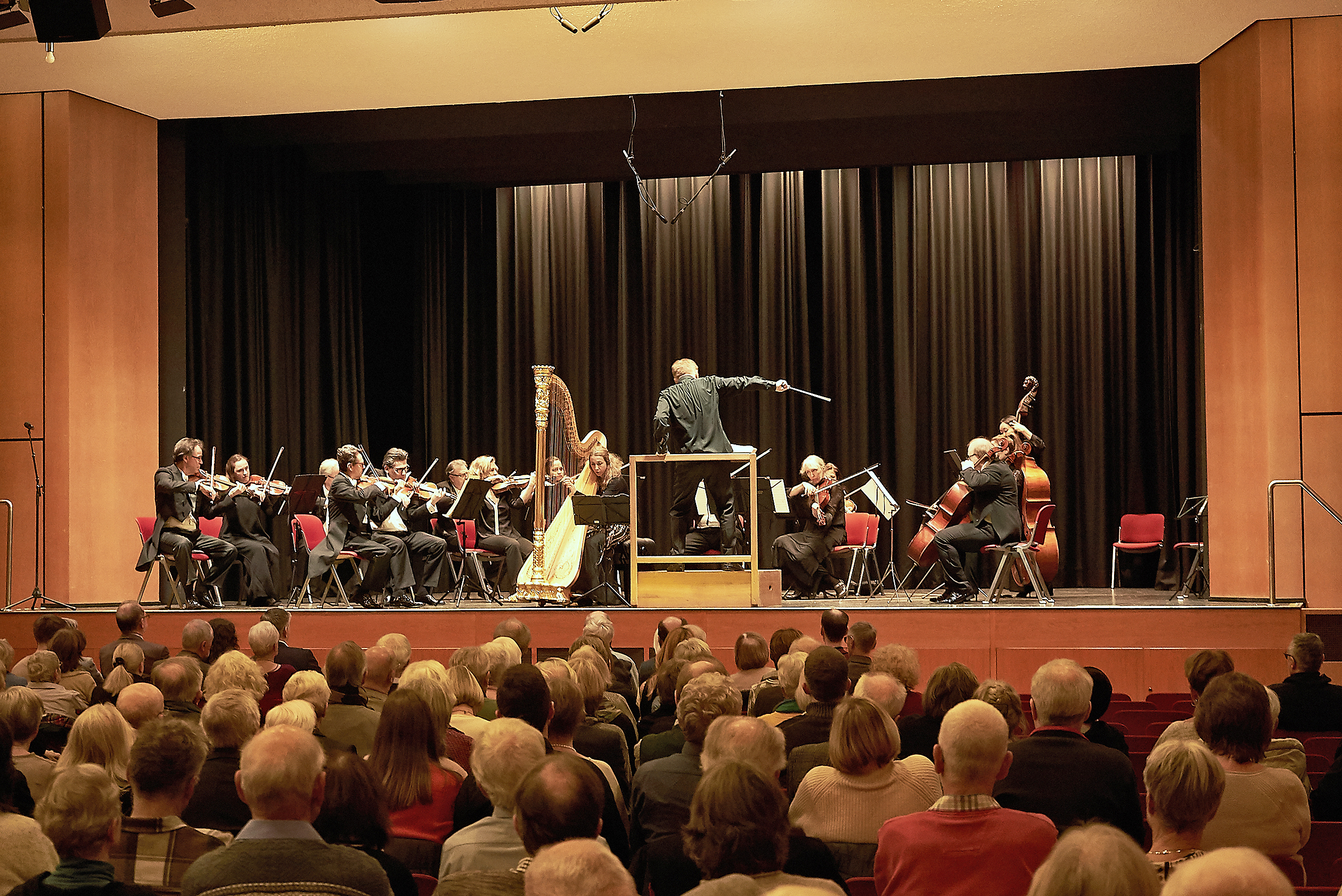 ie Camerata Europeana spielte mit Harfenistin Emilie Jaulmes beim Neujahrskonzert in Holzgerlingen.   Bild Heiden