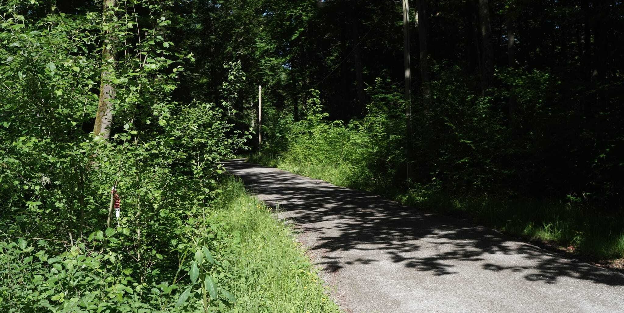 Die Leiche einer Frau wurde letztes nahe des Radschnellwegs am Mönchbrunnen gefunden. Das war zum Glück eine große Ausnahme.