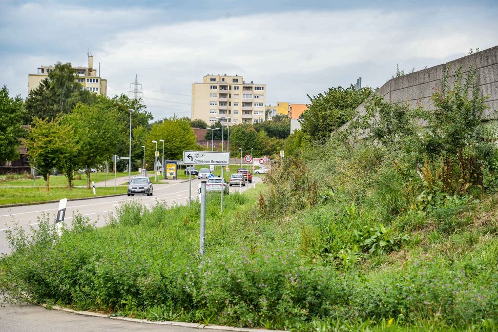 An dieser Ecke in der Allmendstraße gilt Tempo 30 und das wird von einer Blitzersäule künftig auch überwacht. Bild: Dettenmeyer