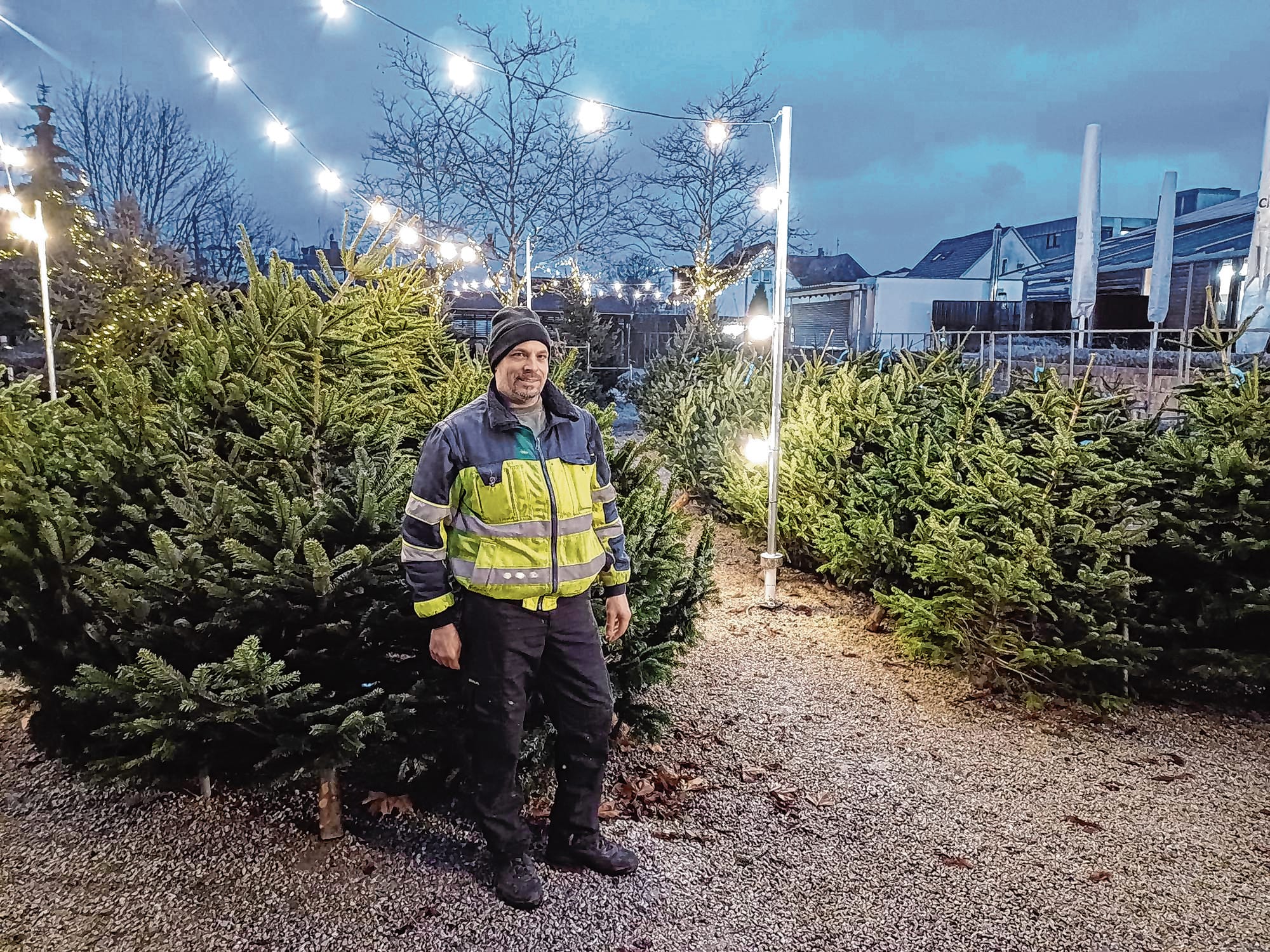 Christoph Schneider verkauft die Weihnachtsbäume im Brauhaus-Biergarten.