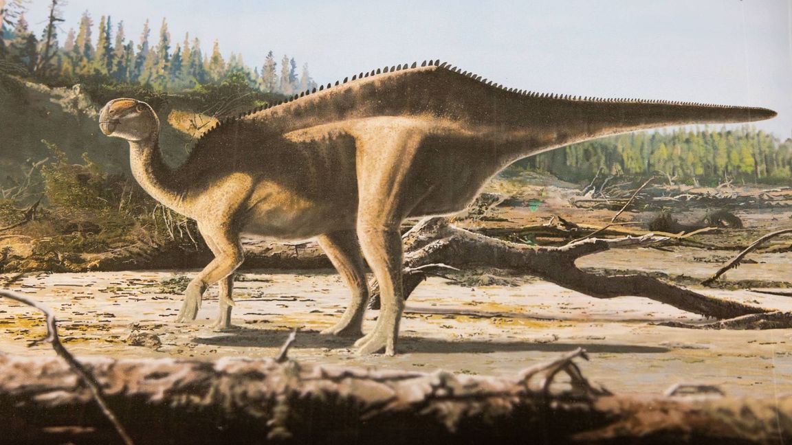 Künstlerische Darstellung von Istiorachis macaruthurae