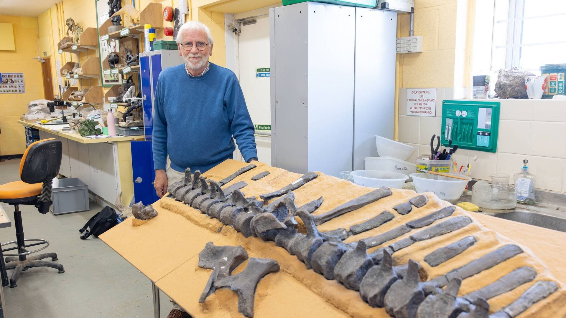 Jeremy Lockwood mit Fossilien von Istiorachis macarthurae