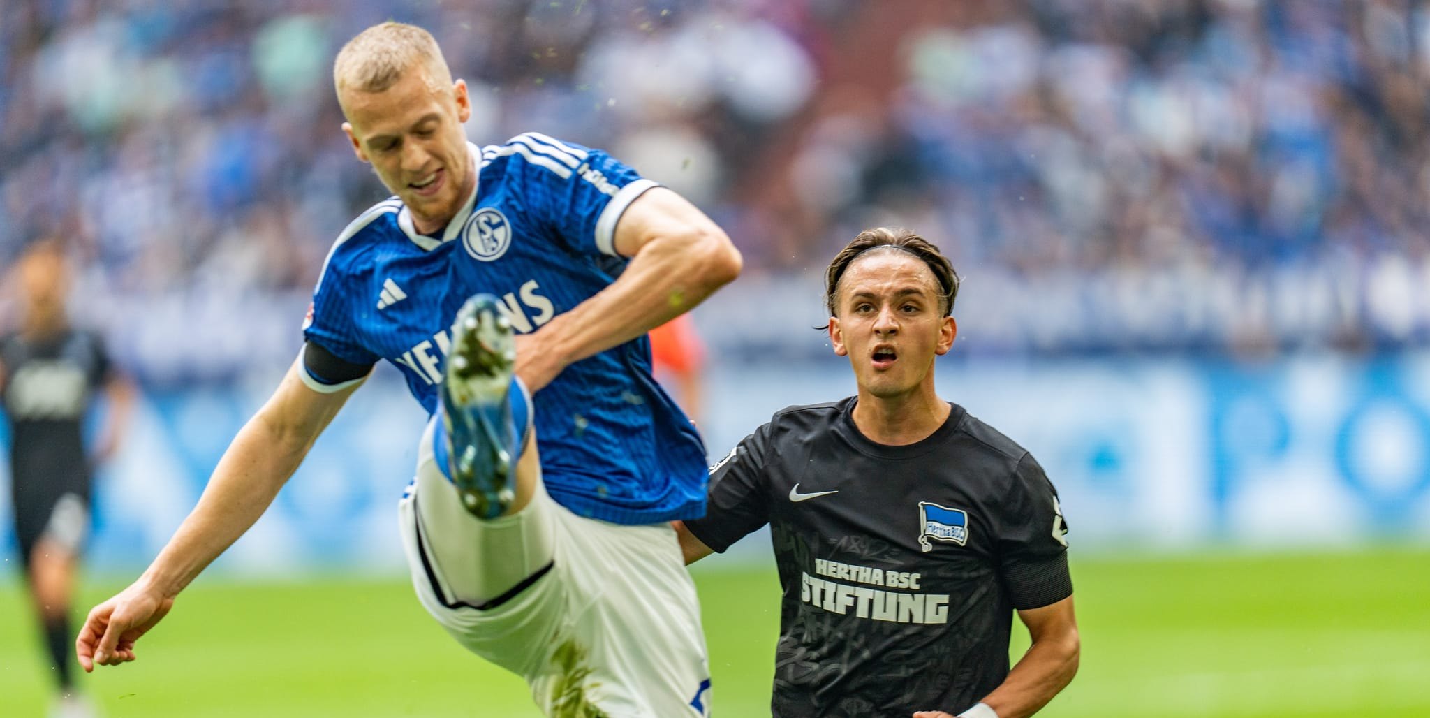 Das  eine Jahr im Trikot von WSchalke 04 stand für Timo Baumgartl (links) unter keinem guten  Stern. Bild: Eibner