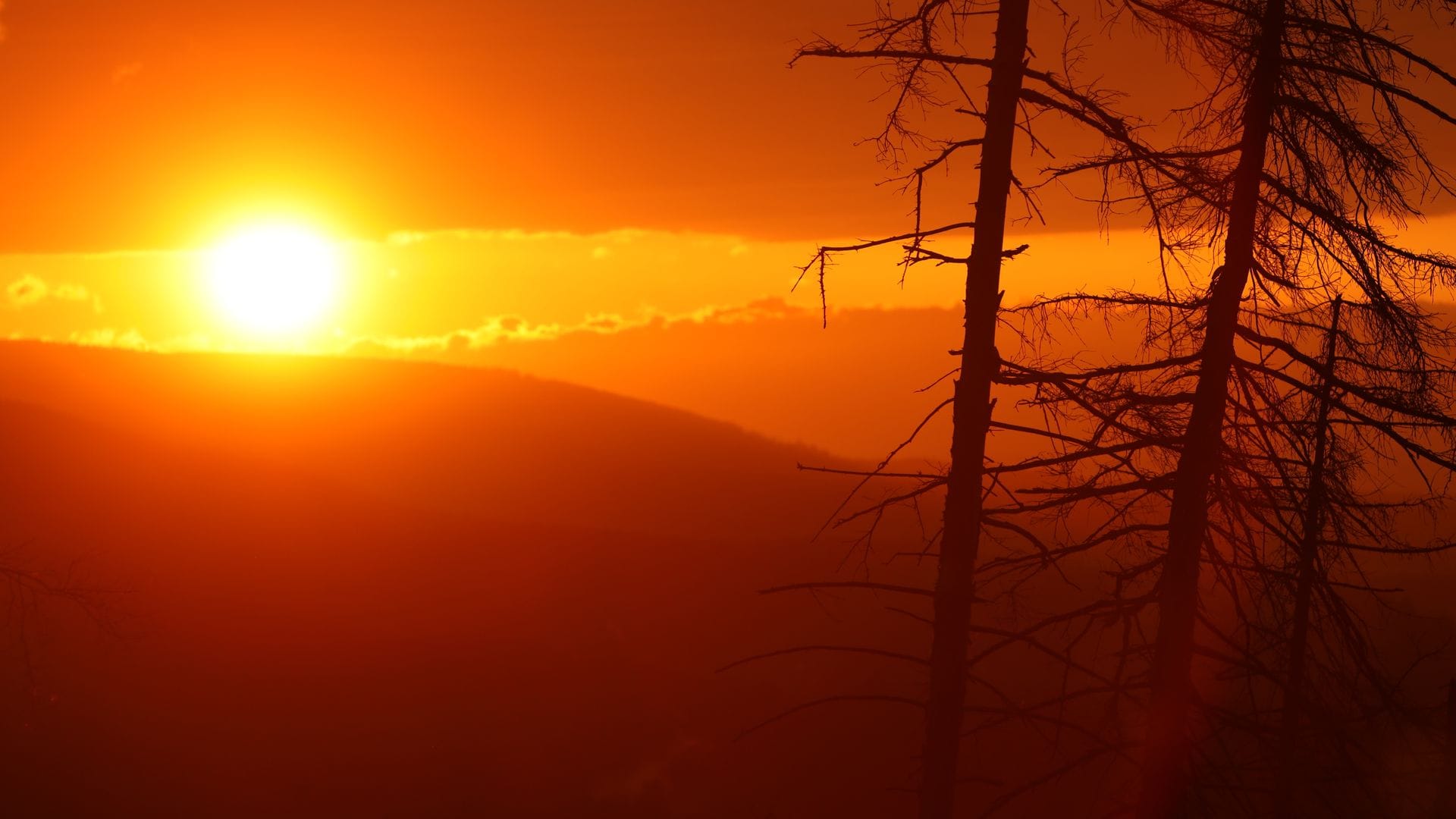 Je später der Abend, desto eindrucksvoller die Sonne. (Archivbild)
