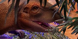 Dinosaurier in Herrenberg.