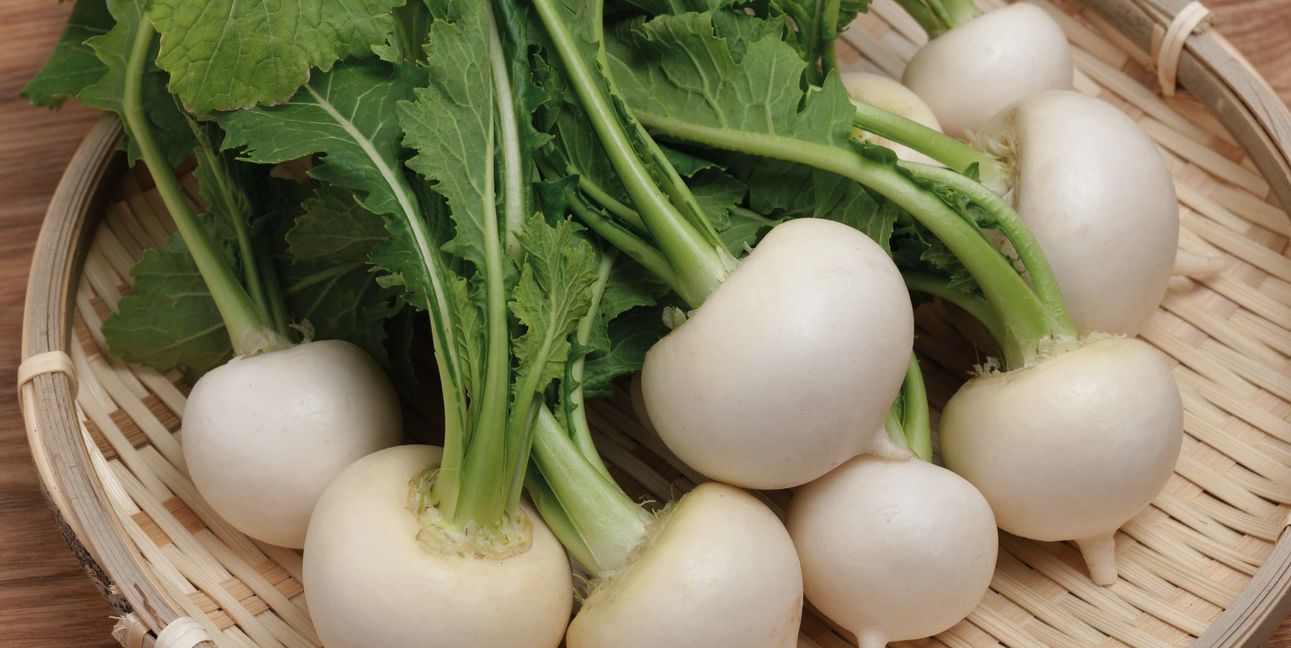 Mairübchen sind von der milden Rübensorte.