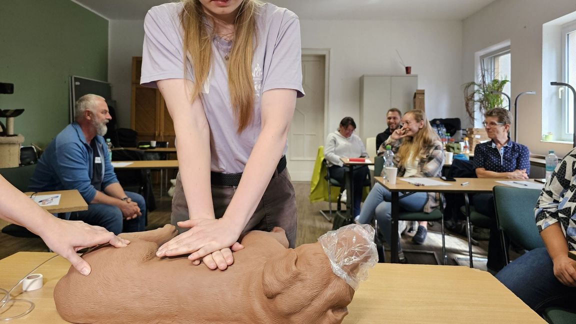 Die Herz-Druck-Massage kann im Erste-Hilfe-Kurs an einem Dummyhund geübt werden.