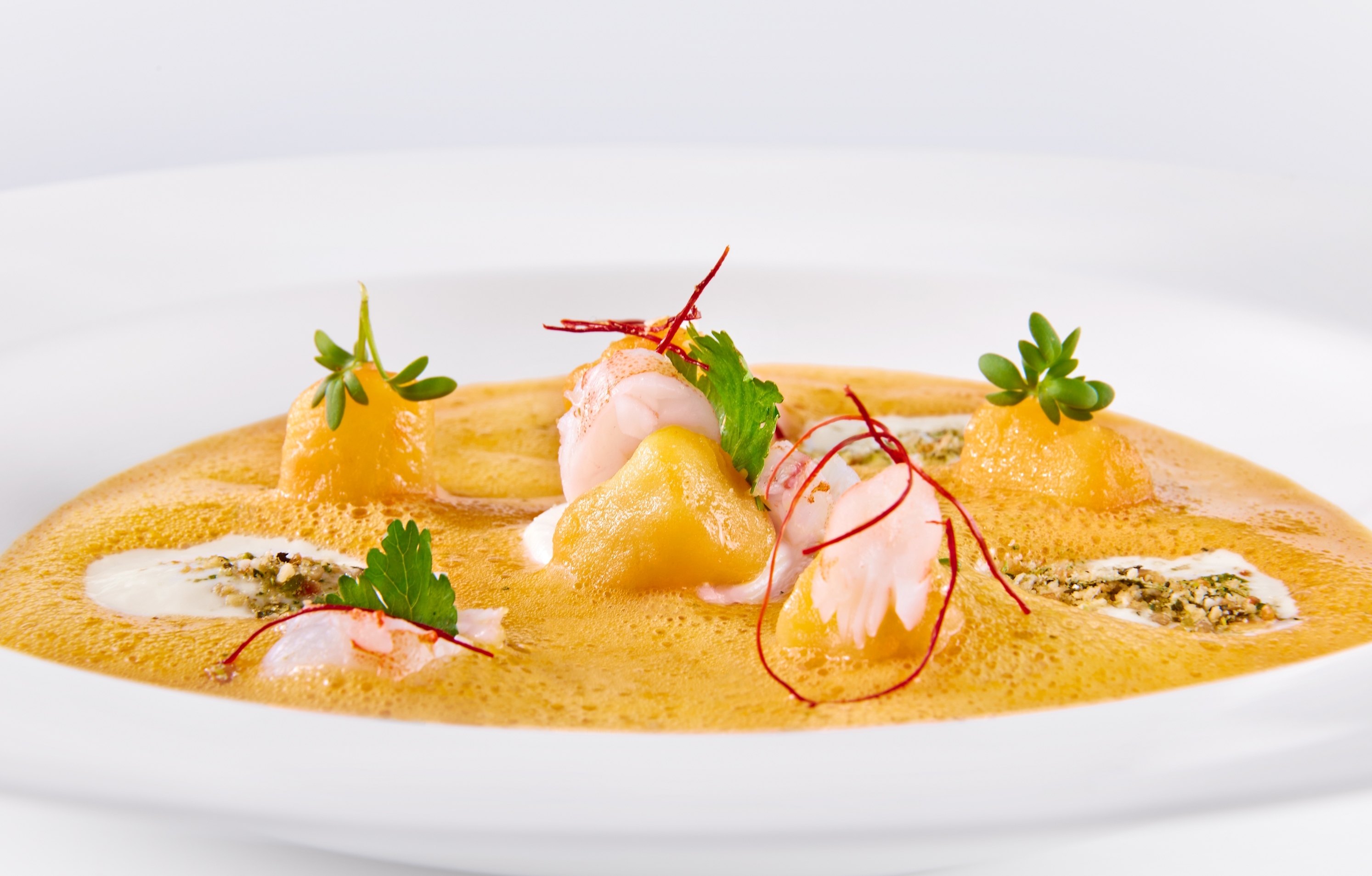 Zwischengang: Thaicurrysüppchen mit Kokos-Espuma, Macadamia Crumble, Kaffir-Limette, Tiefseegarnele und Kürbisgnocchi. Bild: z