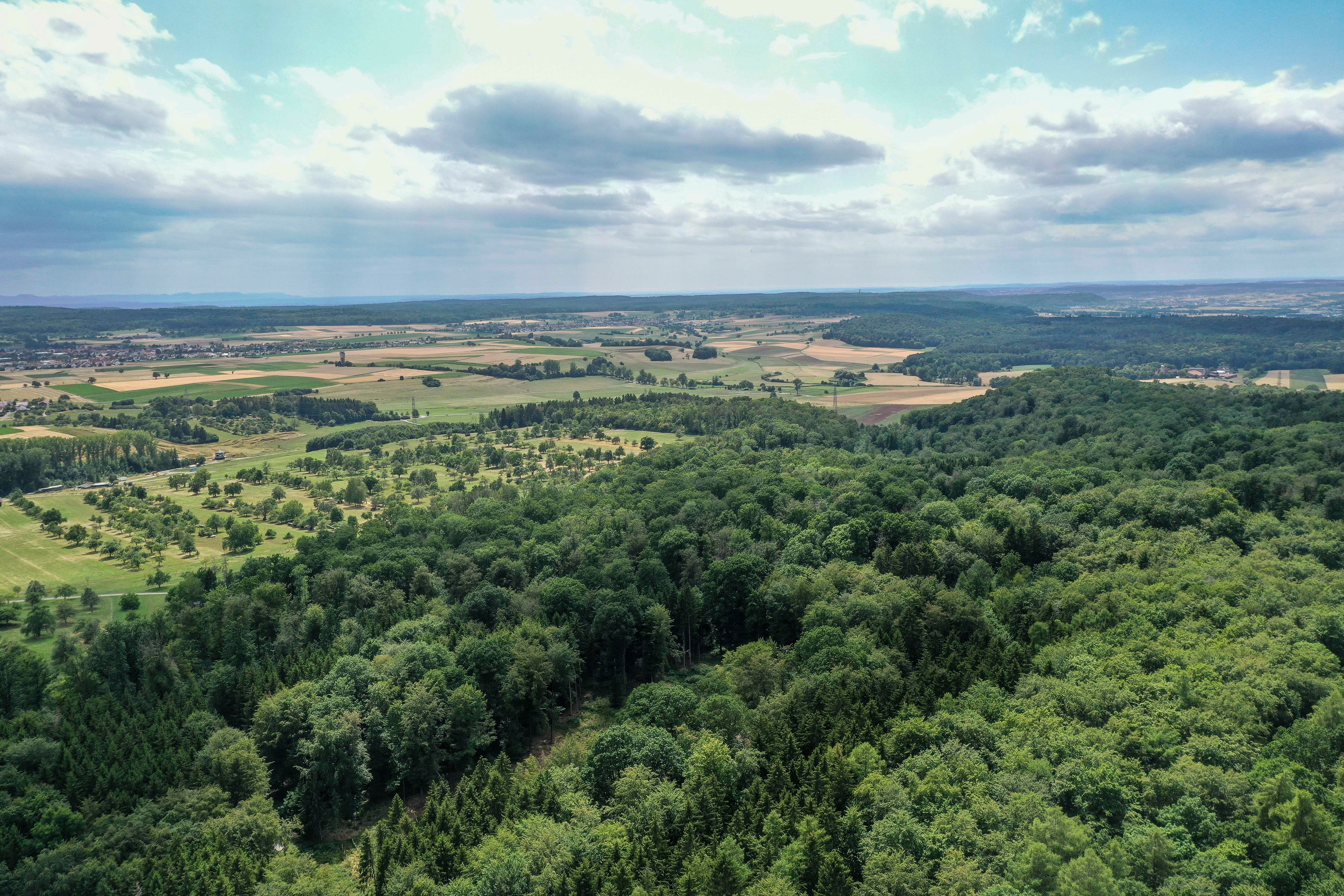 Auf dem Waldstück an der B 464 – im Hintergrund das Maurener Tal – könnte ein Windpark entstehen. Die Stadt Holzgerlingen würde die Voruntersuchungen dafür gerne, nachdem Ehningen ausgeschert ist, gemeinsam mit Böblingen beginnen, zur Not aber auch alleine durchführen lassen. Bild: Dettenmeyer