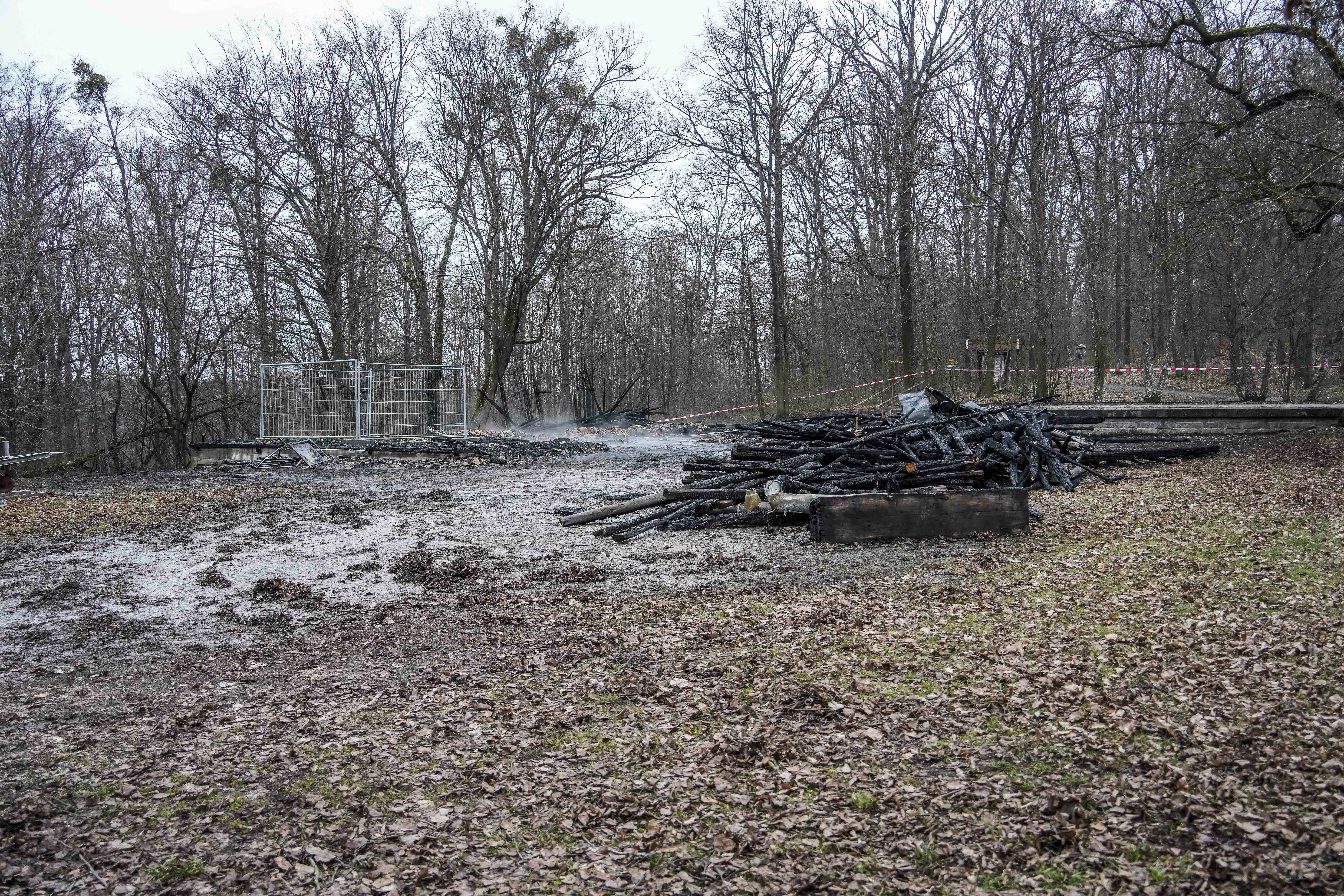 In der Nacht zum Mittwoch, 31. Januar, wurde die Blockhütte beim Sportgelände an den Buchen in Magstadt ein Raub der Flammen. Bild: Dettenmeyer